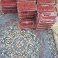 زرشک تازه (سوغات خراسان جنوبی )|خوردنی و آشامیدنی|ایرانشهر, |دیوار