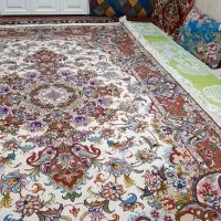 فرش سالاری بانخ مرینوس ۱۲ قط موجود است|فرش|اسکو, |دیوار