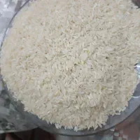 برنج شیروان درجه یک ضیغمی وعنبر طارم کیسه ای ک 250|عمده‌فروشی|سیروان, |دیوار