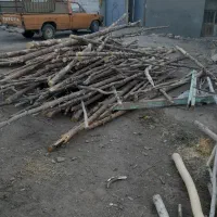 چوب تالار زرشک|خدمات باغبانی و درختکاری|سده (خراسان جنوبی), |دیوار