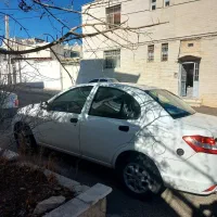 ساینا معمولی