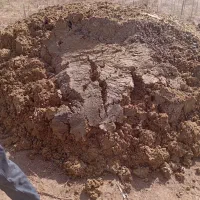 شش چرغ|خدمات باغبانی و درختکاری|خوی, |دیوار