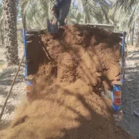 کود حیوانی نیسانی تحویل محل آب‌پخش