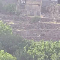 آپارتمان طبقه همکف|اجارهٔ آپارتمان|قم, تعویض پلاک|دیوار