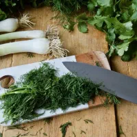 سفارش انواع سبزی خرد کرده و خورشتی