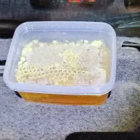 عسل به قیمت عمده طبیعی و پرورشی