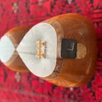 تار|سازهای سنتی|سبزوار, پیام|دیوار