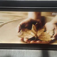 حراج فرش و لوازم نو و دست دوم در حد نو ارزان قیمت|گردهمایی و همایش|مشهد, توس (بلوار توس)|دیوار