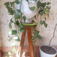 گلدون و پایه با هم