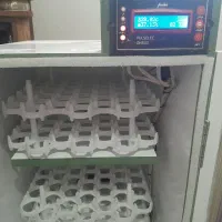 ماشین جوجه کشی ۱۶۸ تایی دستگاه جوجه کشی ۱۶۸تایی|ماشینآلات صنعتی|آزادشهر, |دیوار