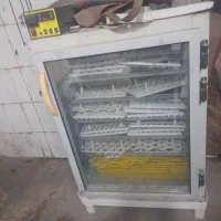 دستگاه جوجه کشی سیمرغ و تانکی