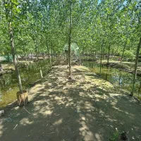 مکان میان آرامش و رویا