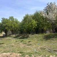 571متر-زمین-باغ-ویلایی-نمیر