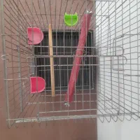 قفس مناسب طوطی