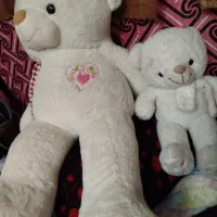 دو عدد خرس کوچک بزرگ