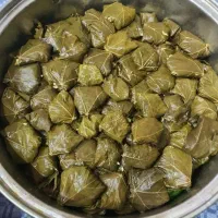 غذای خانگی شین|خدمات پذیرایی، مراسم|تهران, نارمک|دیوار