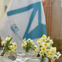 30مترمغازه-تجاری-مناسب-انواع-مشاغل-بر-اصلی-گلدشت