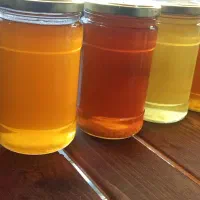 عسل طبیعی و باکیفیت