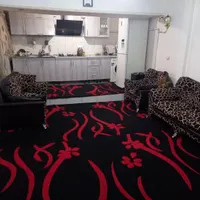 ۳عدد فرش فانتزی