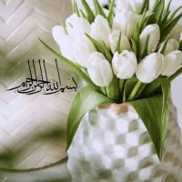 رحم جایگزین میشوم