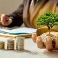 جذب سرمایه گذار با سود تضمینی