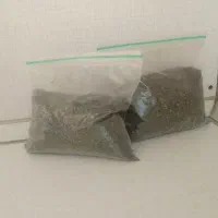 نعناع درجه یک