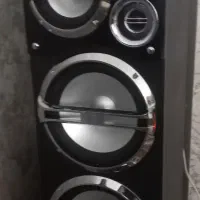 یک جفت باند میکرو لپ