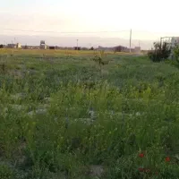 قطعه زمین ۱۰۰۰ متری