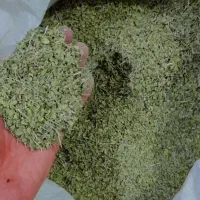 آویشن کوهی