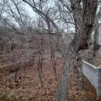 باغ در اسکو خسرق