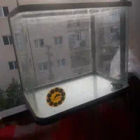 اکواریوم