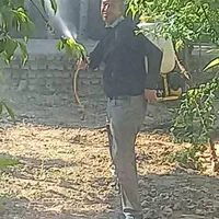 باغبانی وسمپاشی کل تهران و حومه با ضمانت و فاکتور|خدمات باغبانی و درختکاری|تهران, مهران (سیدخندان)|دیوار