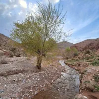 تور ۱روزه روستای گردشگری بندر(چترود)جمعه۴ اردیبهشت