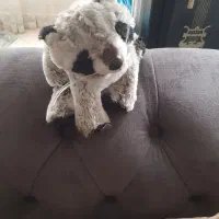 گلشهر|اسباببازی|کرج, گلشهر|دیوار