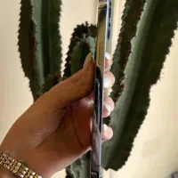 iPhone 13 Promax|موبایل|قم, سالاریه|دیوار