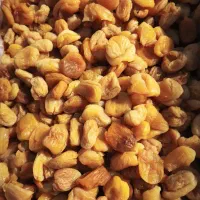 قیصی و برگه