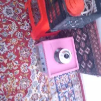 دستگاه پشمک و دوچرخه ۲۶|دوچرخه، اسکیت، اسکوتر|بندر ماهشهر, |دیوار