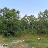 فاصله-زمین-با-براصلی-2-دقیقه