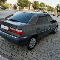 زانتیا سالم