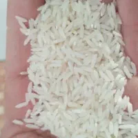 برنج طارم هاشمی اصل