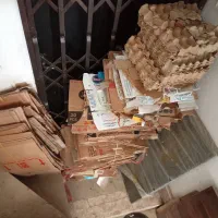 کارتن پت نون خشک