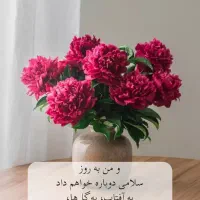 جذب نیرو سالن زیبایی در هر لاینی