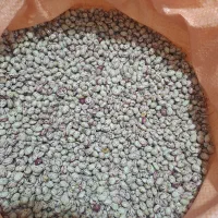 لوبیا چیتی صالح|عمدهفروشی|قیدار, |دیوار