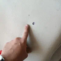 راحتی ال ۵ نفره|مبلمان خانگی و میز عسلی|پردیس, شهرک صنعتی کمرد|دیوار