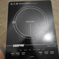 دستگاه اجاق برقی جی پاس ۳۳۰۱۳