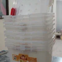 باکس