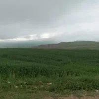 جو سهند دوپهلو