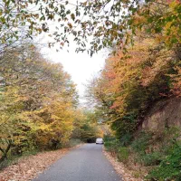 زمین ۳۶۵ متر مسکونی|فروش زمین و ملک کلنگی|رستم‌آباد, |دیوار