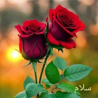 تدریس تقویتی و کنکوری و مشاوره  خصوصی تضمینی