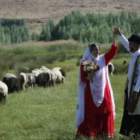 فیلمبرداری تخصصی .